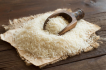 Cách diệt mọt gạo nhanh, đơn giản và hiệu quả nhất