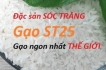 Tìm hiểu về gạo ST25 - Gạo Ông Cua
