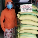 Anh Tường Chị Loan