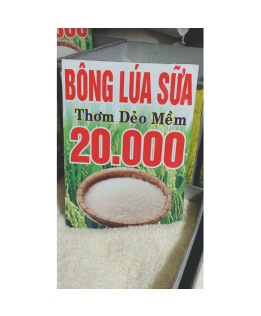 Gạo Bông Lúa Sữa