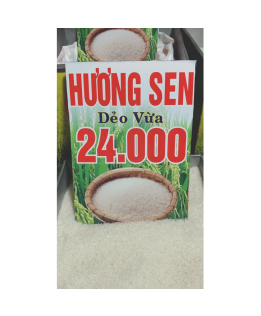 Gạo Hương Sen