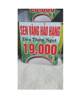 Gạo Sen Vàng Hảo Hạn