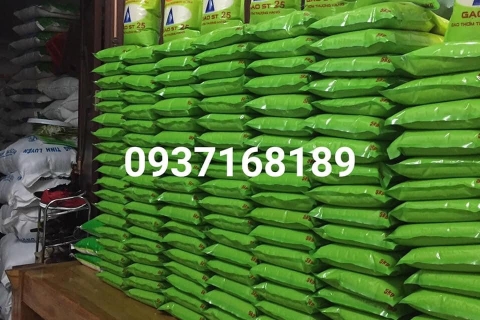 Kinh nghiệm bán gạo giá sỉ như thế nào?