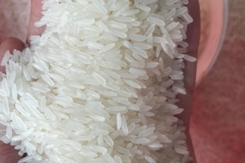 Nên tìm điểm bán gạo tphcm nào có nguồn gạo sạch nhất?