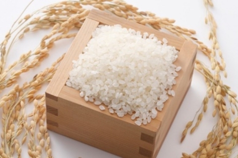 Hướng dẫn bảo quản gạo đúng cách