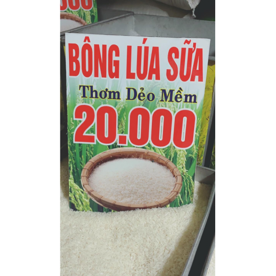 Gạo Bông Lúa Sữa